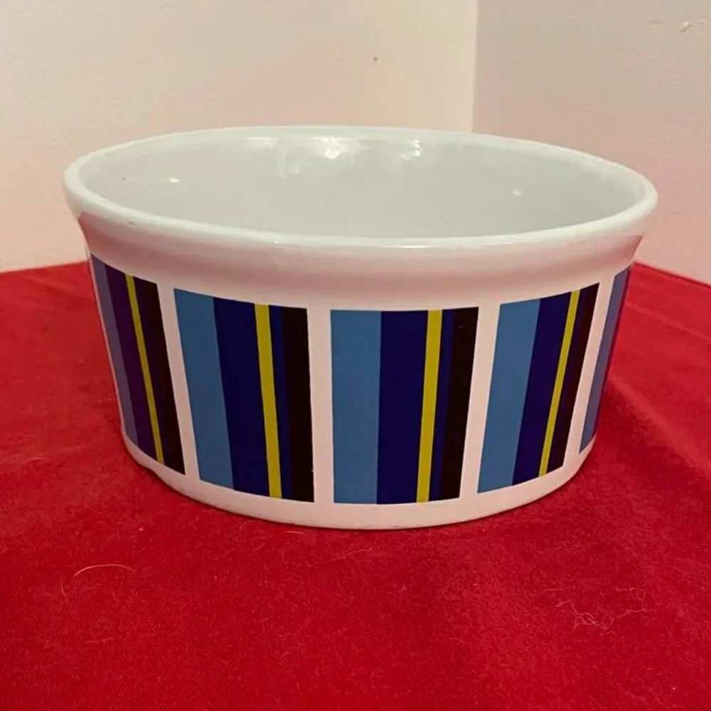 Dog Dish: Colorful Stripes Pet Dish, Medium